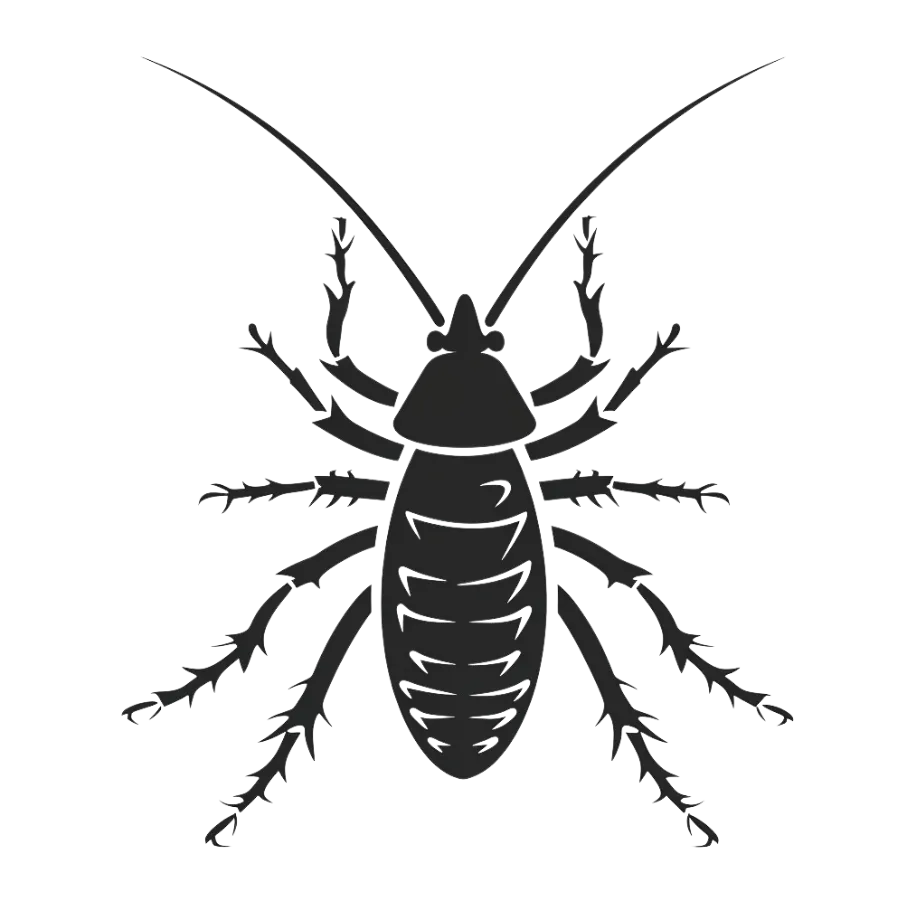 Silverfish Control