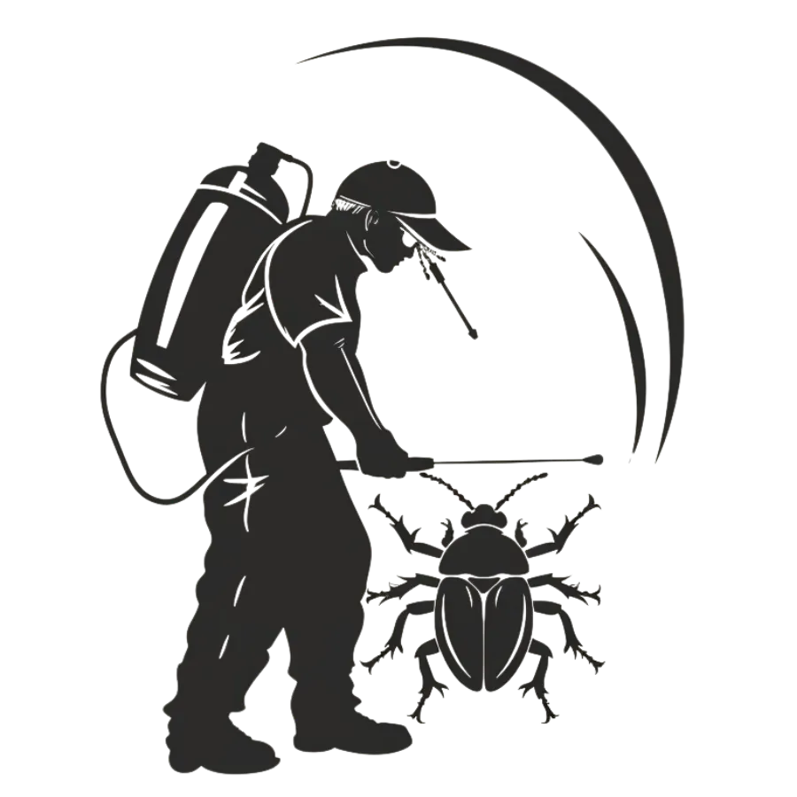 Beetle Removal